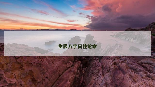 生辰八字日柱论命