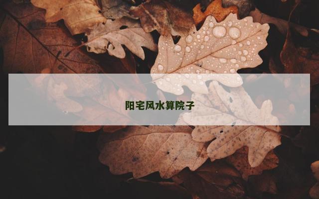 阳宅风水算院子