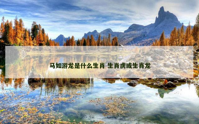 马如游龙是什么生肖 生肖虎或生肖龙