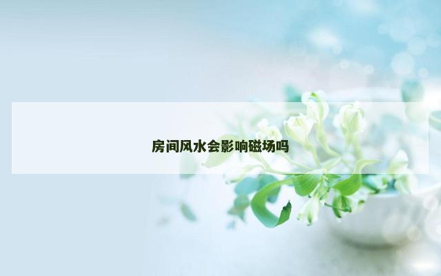 房间风水会影响磁场吗