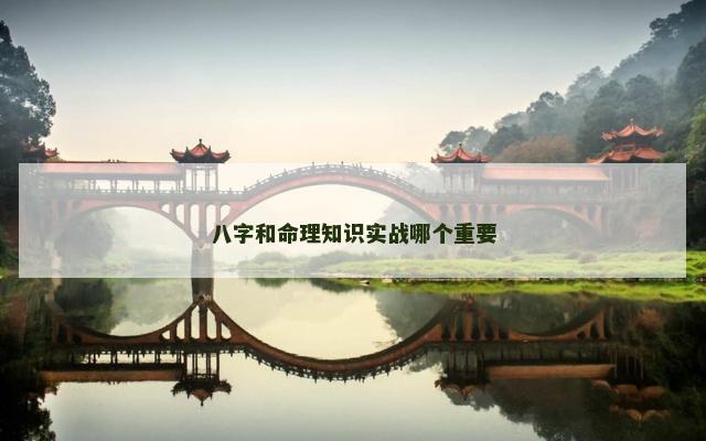 八字和命理知识实战哪个重要