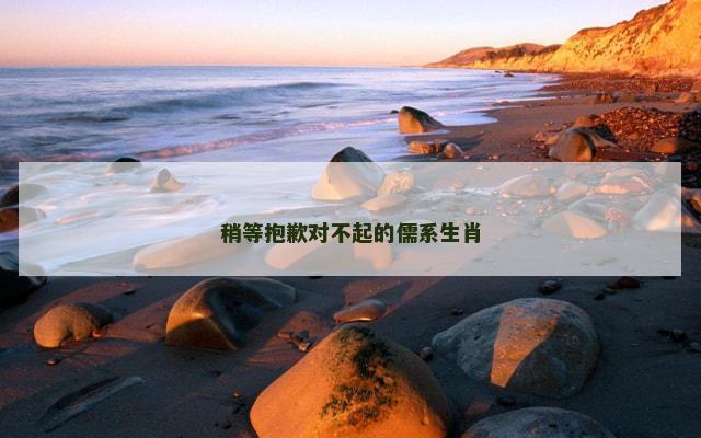稍等抱歉对不起的儒系生肖