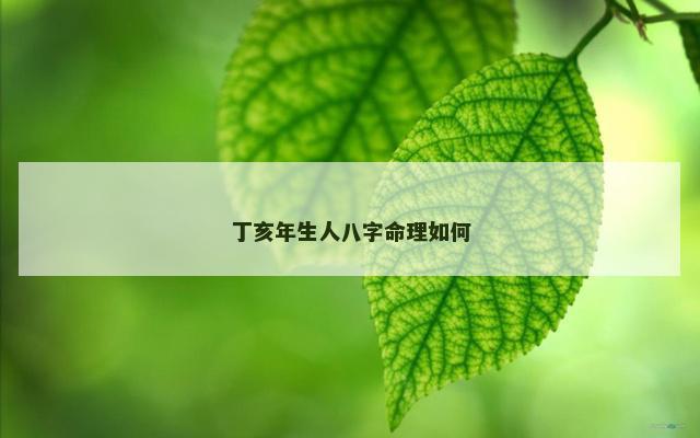 丁亥年生人八字命理如何