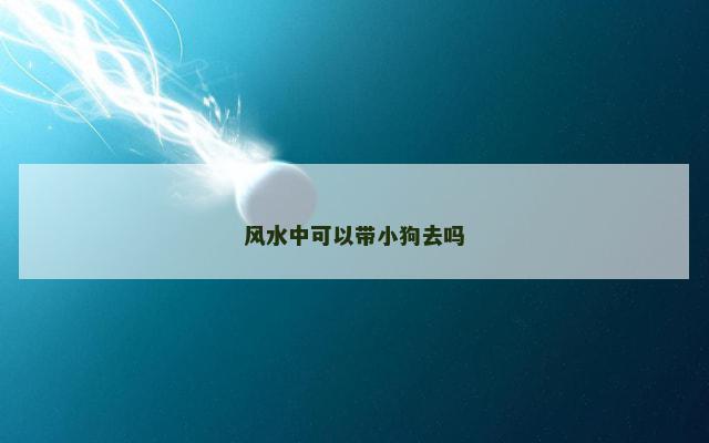 风水中可以带小狗去吗