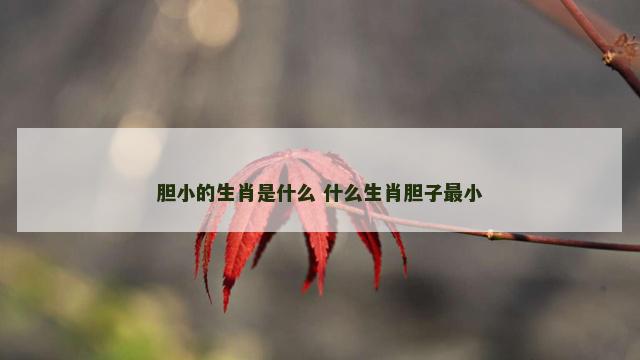 胆小的生肖是什么 什么生肖胆子最小
