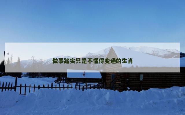 做事踏实只是不懂得变通的生肖