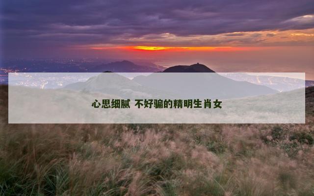 心思细腻 不好骗的精明生肖女