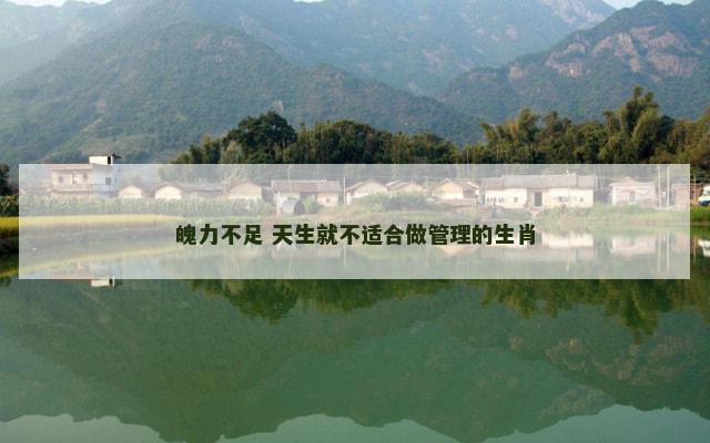 魄力不足 天生就不适合做管理的生肖