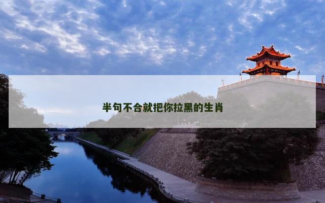 半句不合就把你拉黑的生肖