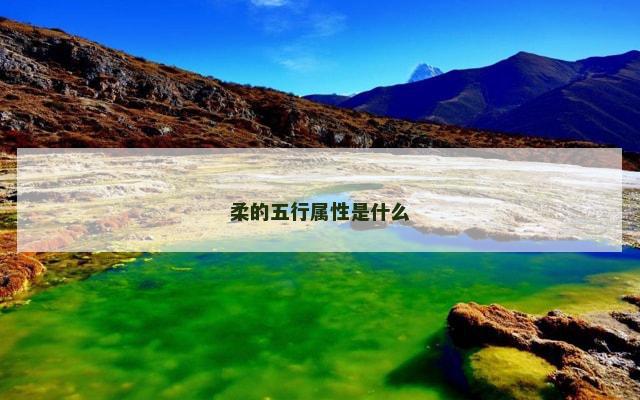 柔的五行属性是什么