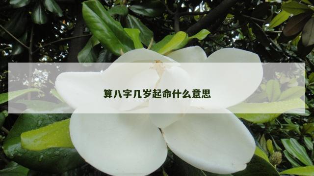 算八字几岁起命什么意思