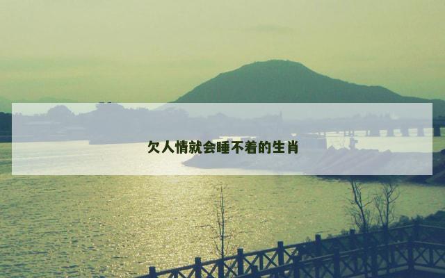 欠人情就会睡不着的生肖