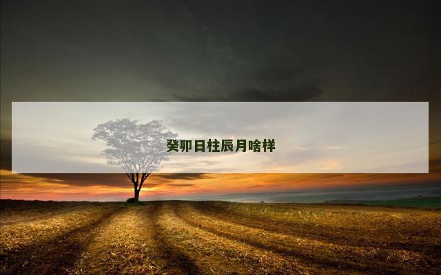 癸卯日柱辰月啥样