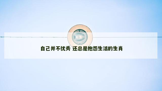 自己并不优秀 还总是抱怨生活的生肖