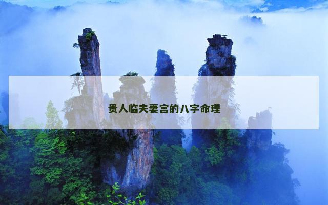 贵人临夫妻宫的八字命理