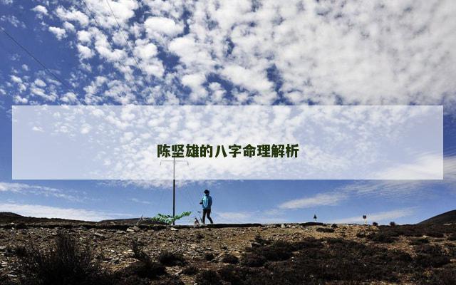 陈坚雄的八字命理解析