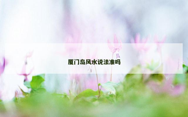 厦门岛风水说法准吗