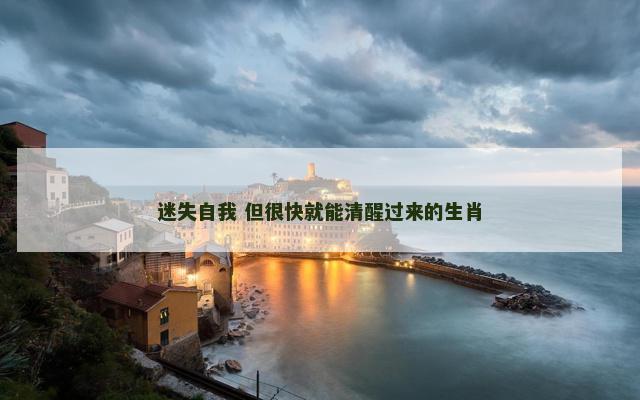 迷失自我 但很快就能清醒过来的生肖