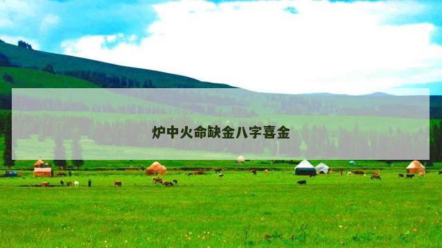 炉中火命缺金八字喜金