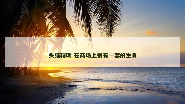 头脑精明 在商场上很有一套的生肖