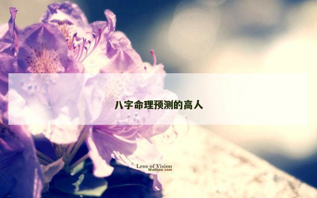 八字命理预测的高人