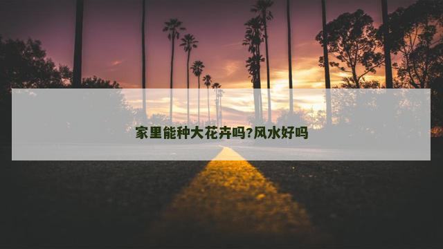 家里能种大花卉吗?风水好吗