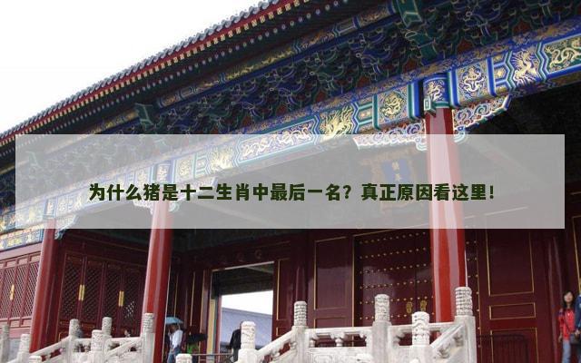 为什么猪是十二生肖中最后一名？真正原因看这里！