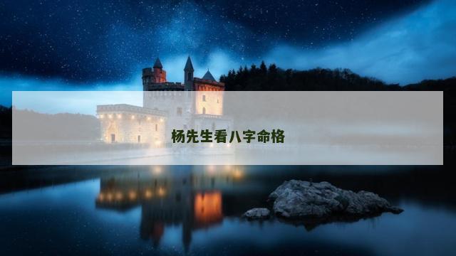 杨先生看八字命格