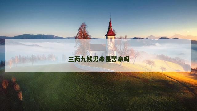 三两九钱男命是苦命吗