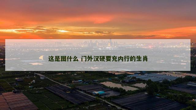 这是图什么 门外汉硬要充内行的生肖