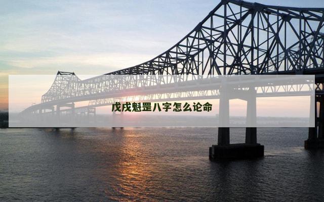 戊戌魁罡八字怎么论命