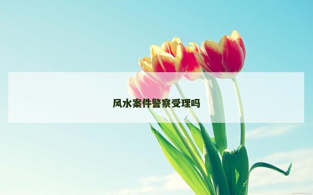 风水案件警察受理吗