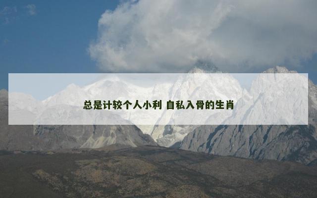 总是计较个人小利 自私入骨的生肖