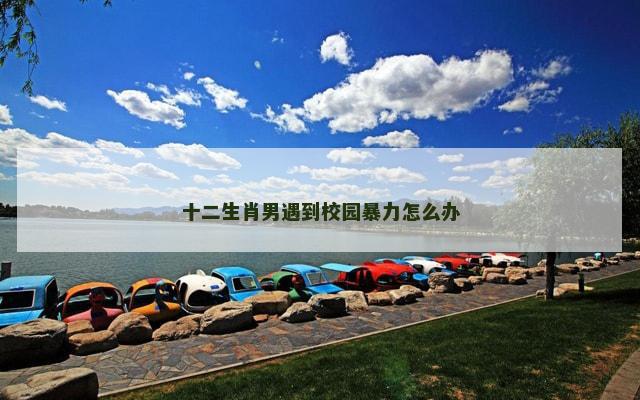 十二生肖男遇到校园暴力怎么办