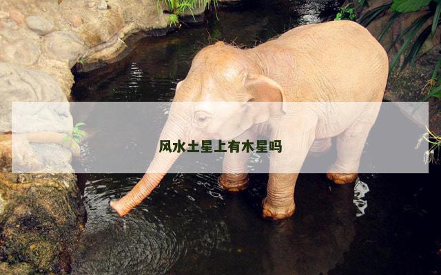 风水土星上有木星吗