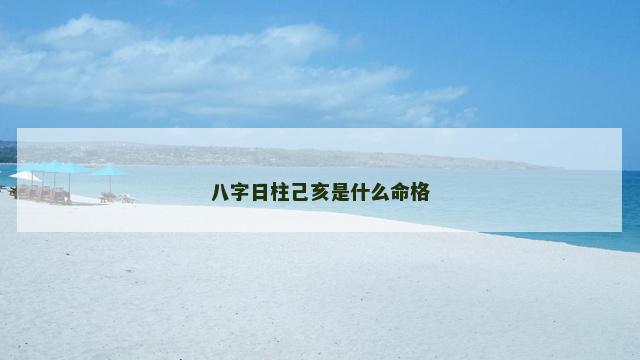 八字日柱己亥是什么命格