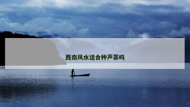 西南风水适合种芦荟吗