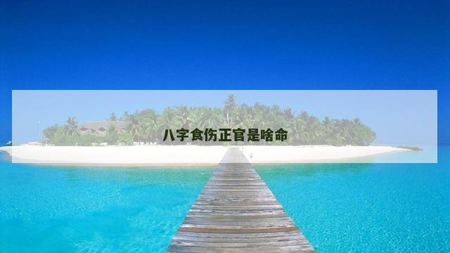 八字食伤正官是啥命
