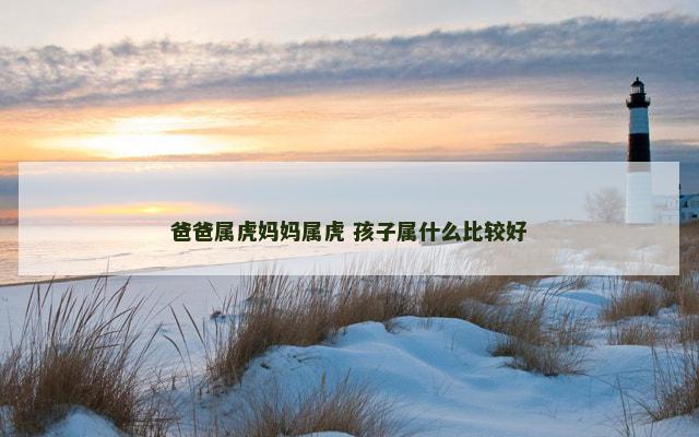 爸爸属虎妈妈属虎 孩子属什么比较好