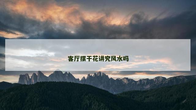 客厅摆干花讲究风水吗