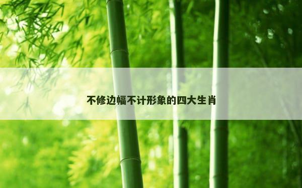 不修边幅不计形象的四大生肖