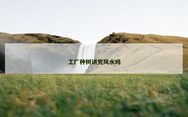 工厂种树讲究风水吗