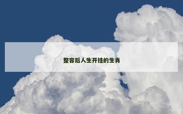 整容后人生开挂的生肖