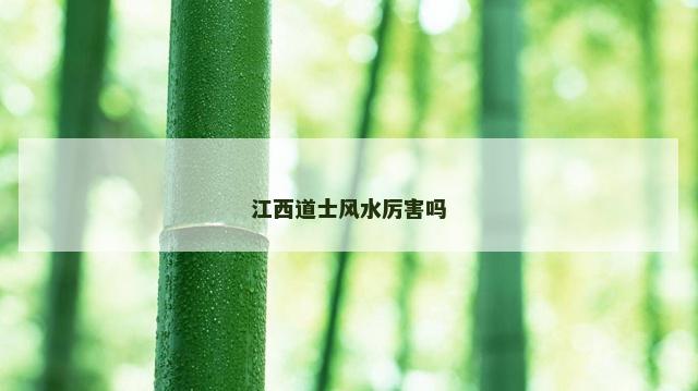 江西道士风水厉害吗