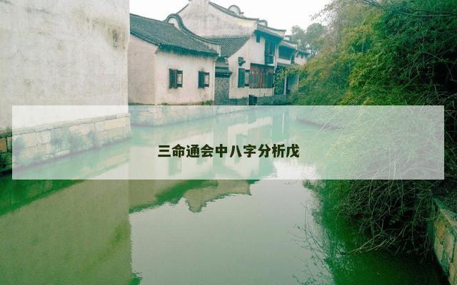 三命通会中八字分析戊