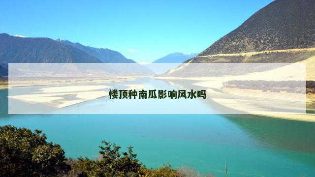 楼顶种南瓜影响风水吗