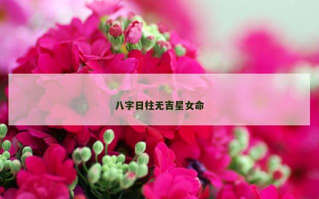 八字日柱无吉星女命