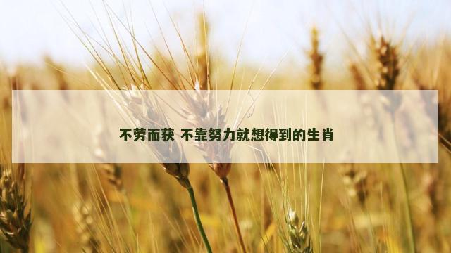不劳而获 不靠努力就想得到的生肖