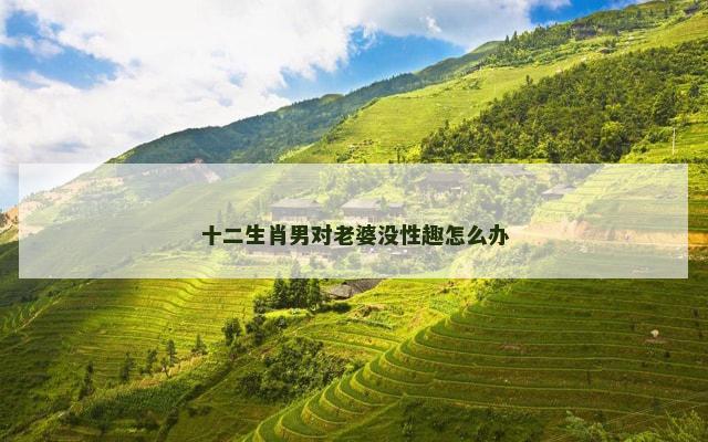 十二生肖男对老婆没性趣怎么办