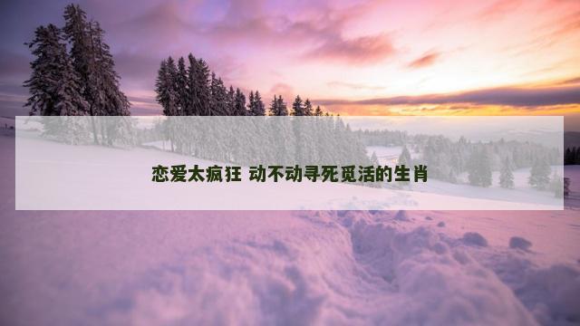 恋爱太疯狂 动不动寻死觅活的生肖